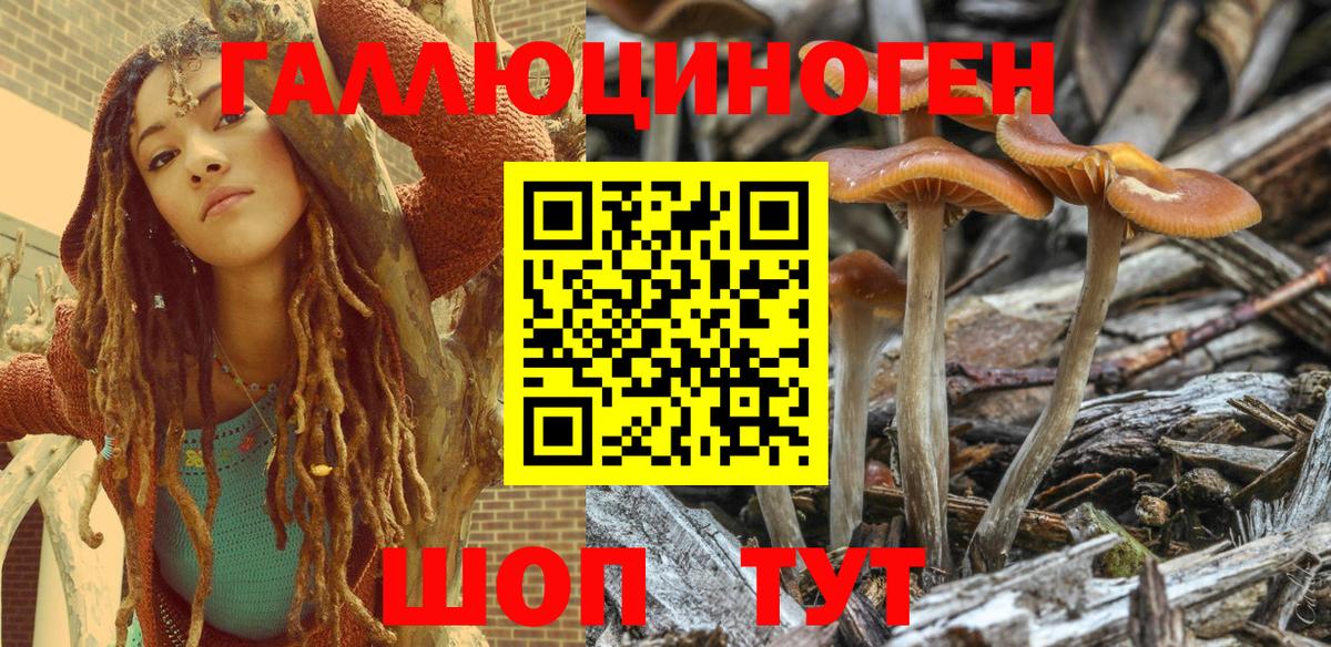 Галлюциногенные грибы Magic Shrooms Мегион